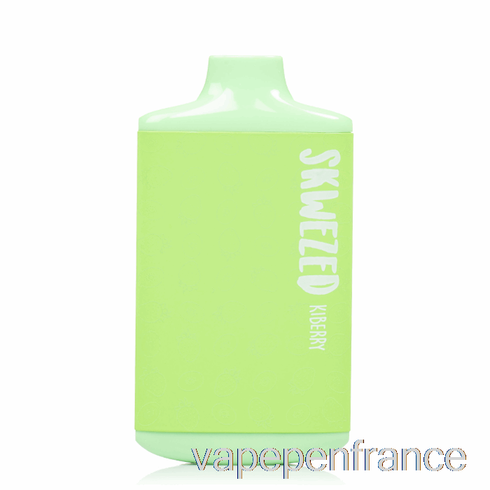 Stylo Vape Kiberry Jetable Skwezed 5k